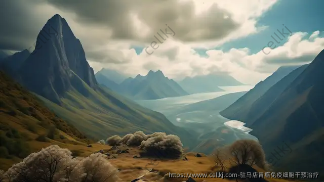 驻马店胃癌免疫细胞干预治疗